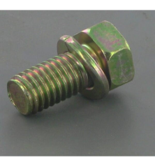 Screw - ETESIA - Reference ET27562