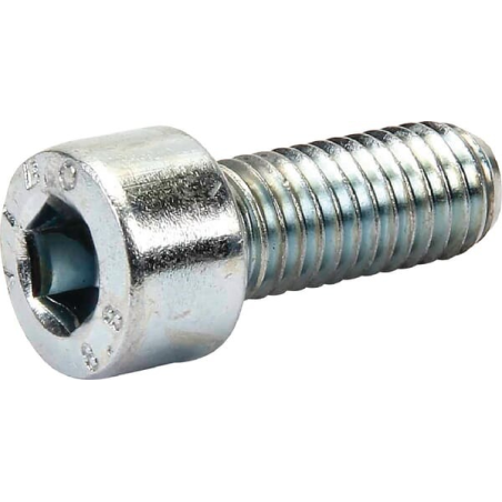 Screw - ETESIA - Reference ET22011