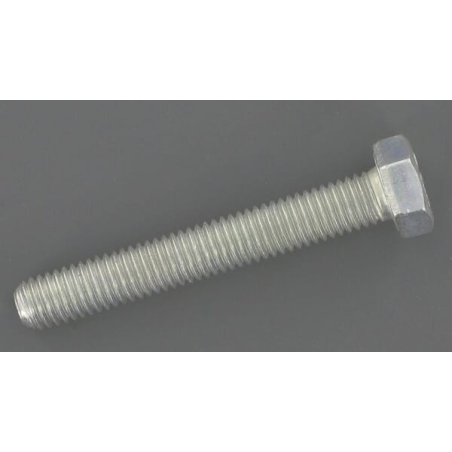 Screw - ETESIA - Reference ET21687
