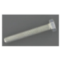 Screw - ETESIA - Reference ET21687