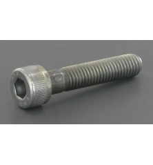 Screw - ETESIA - Reference ET21116