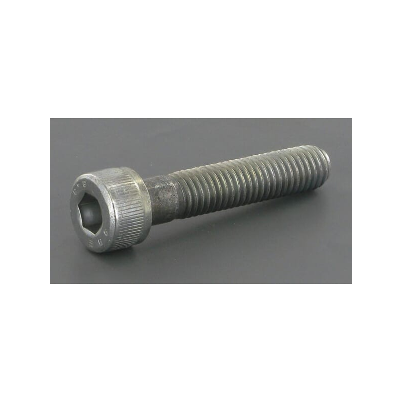 Screw - ETESIA - Reference ET21116