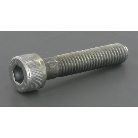 Screw - ETESIA - Reference ET21116