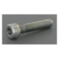 Screw - ETESIA - Reference ET21116