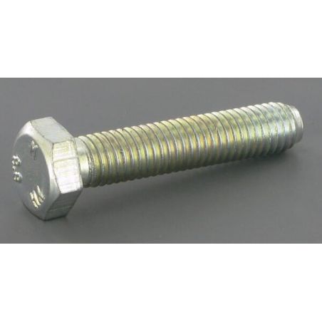 Screw - ETESIA - Reference ET21114