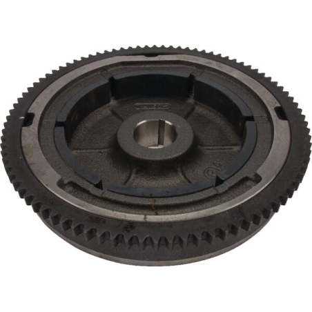 Magnetic flywheel - ETESIA - Reference ET18187