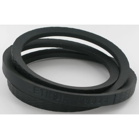 V-belt - ETESIA - Reference ET25528