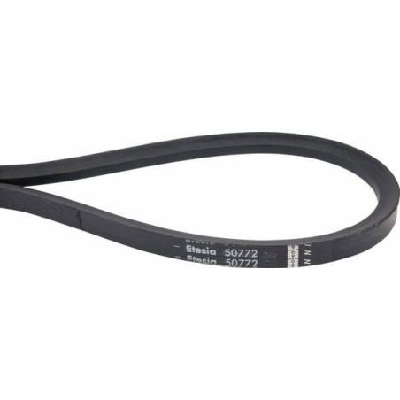 Belt - ETESIA - Reference ET50772