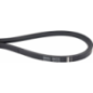 Belt - ETESIA - Reference ET50772