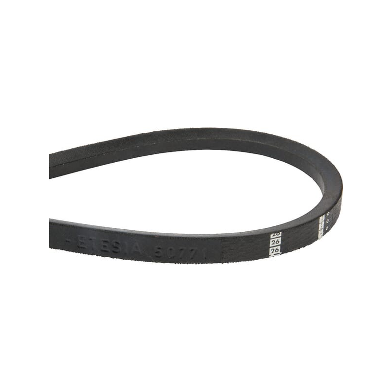 Belt - ETESIA - Reference ET50771