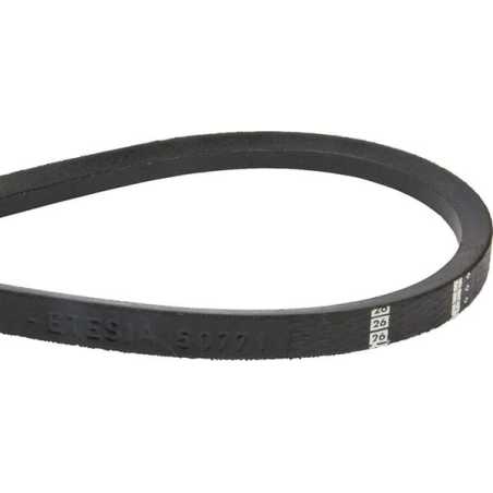 Belt - ETESIA - Reference ET50771