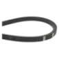 Belt - ETESIA - Reference ET50771