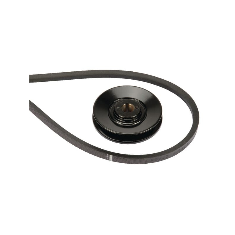 Belt - ETESIA - Reference ET38455