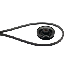 Belt - ETESIA - Reference ET38454