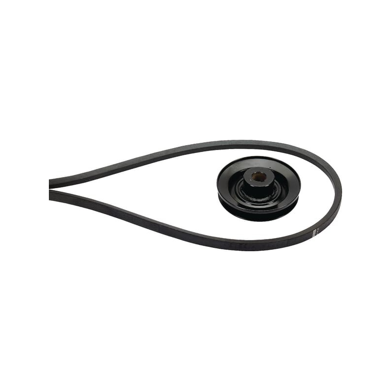 Belt - ETESIA - Reference ET38454