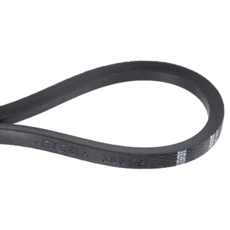 Belt - ETESIA - Reference ET38375