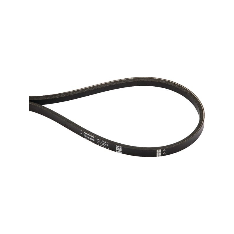 Belt - ETESIA - Reference ET37437
