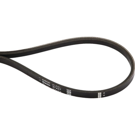 Belt - ETESIA - Reference ET37437