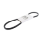 Belt - ETESIA - Reference ET28729