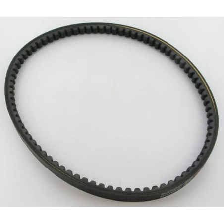 Belt - ETESIA - Reference ET27217