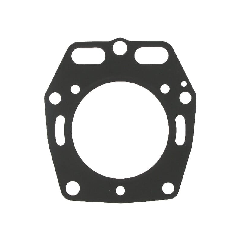Guarnizione della testata - Kawasaki - Codice originale 110042104