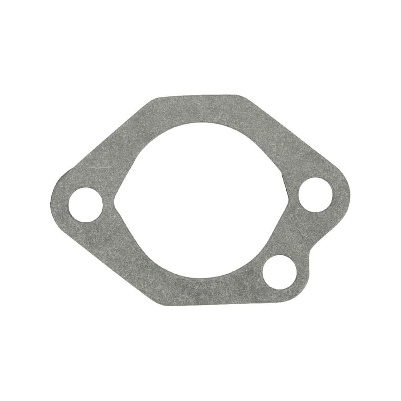 Gasket - Kawasaki - Original reference 110602334