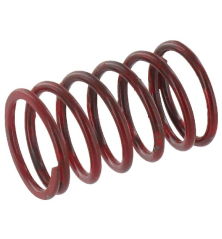 Feder – Kawasaki – Originalreferenz 490787001