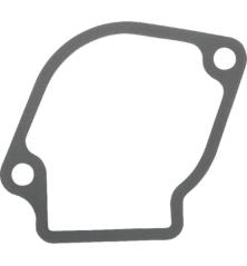 Gasket - Kawasaki - Original reference 110092365