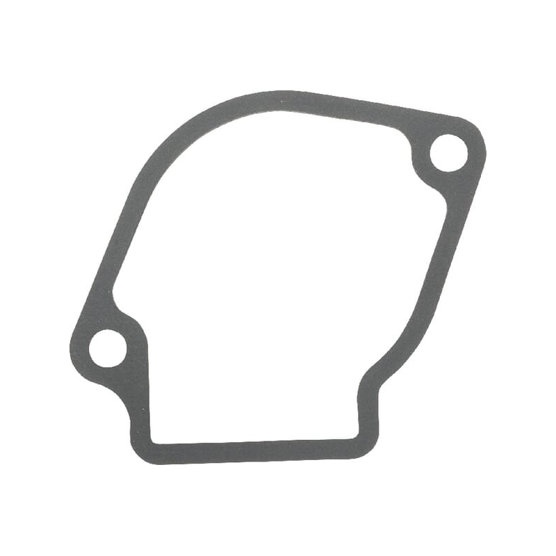 Gasket - Kawasaki - Original reference 110092365