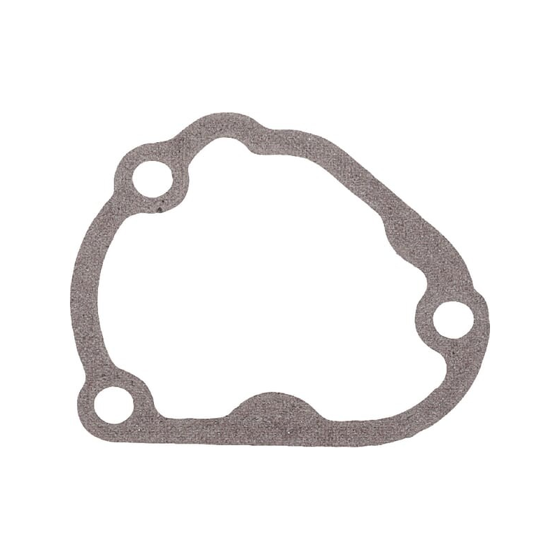 Gasket - Kawasaki - Original reference 110602198
