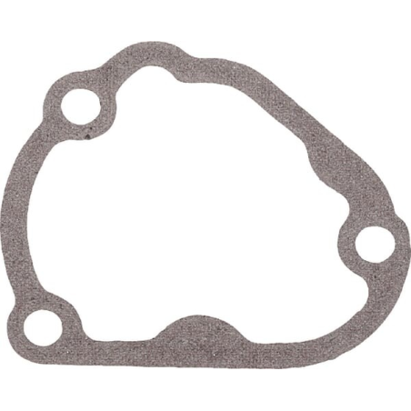 Gasket - Kawasaki - Original reference 110602198