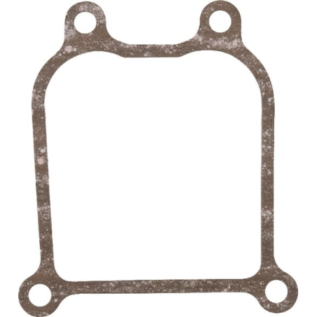Gasket - Kawasaki - Original reference 110602291