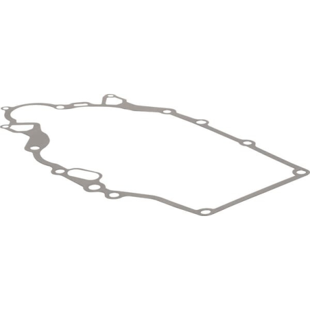 Gasket - Kawasaki - Original reference 110602449