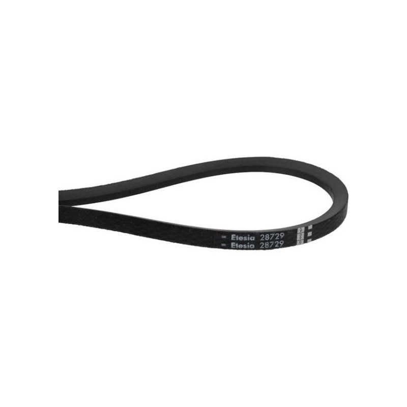 Belt - ETESIA - Reference ET28729