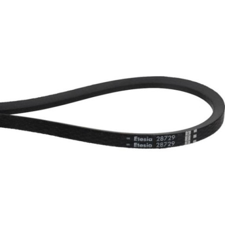 Belt - ETESIA - Reference ET28729