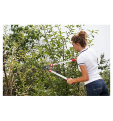 Wolf OS630 4 branch cutter