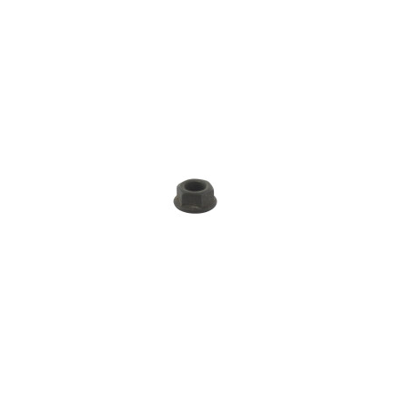 Tuerca MTD 7120379