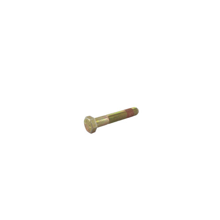 Screw MTD 7101254