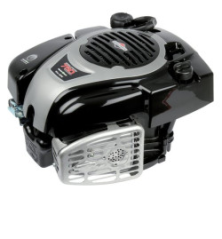 Moteur Briggs et Stratton - 1006050040H5