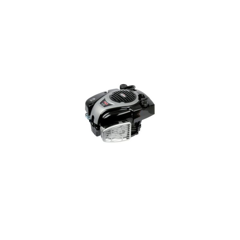 Moteur Briggs et Stratton - 1006050040H5