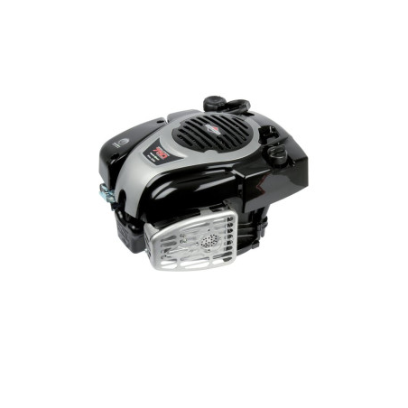 Moteur Briggs et Stratton - 1006050040H5