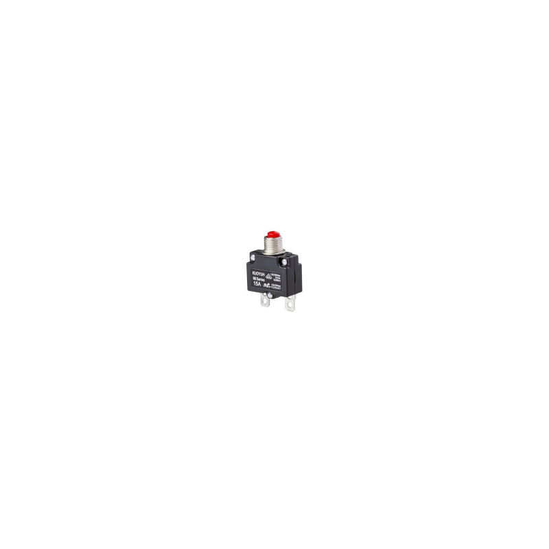Interruttore termico Briggs et Stratton - 103914GS