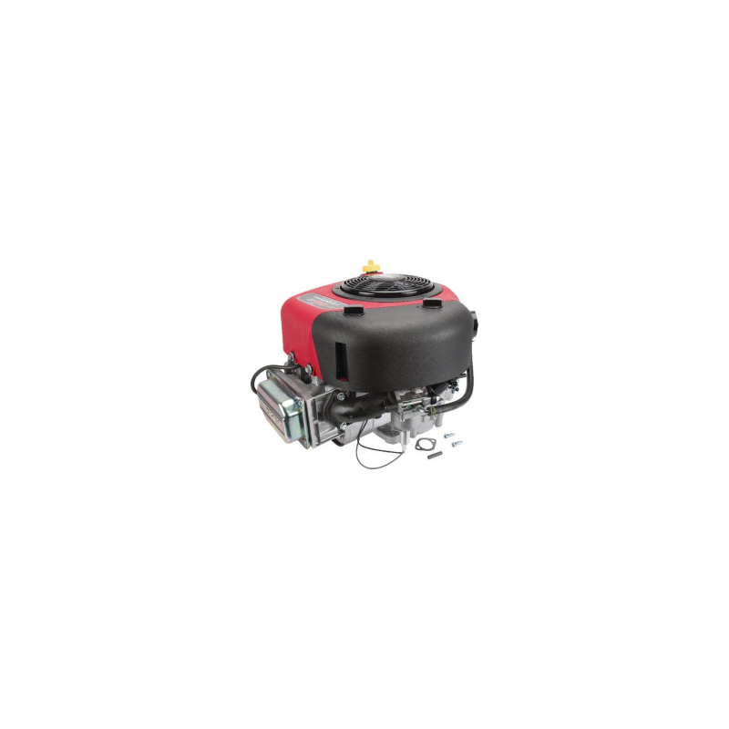 Briggs and Stratton Engine - 21R8070062B5