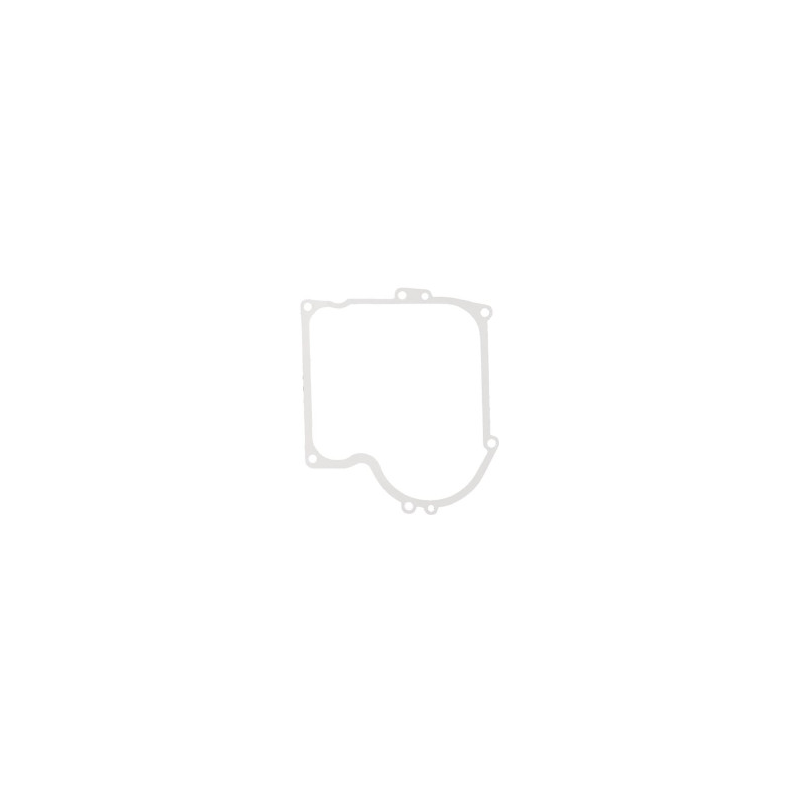 Joint Briggs et Stratton - 270915