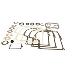 Kit Briggs e Stratton - 299577