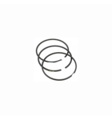 Briggs and Stratton segments - 299743 - 690014