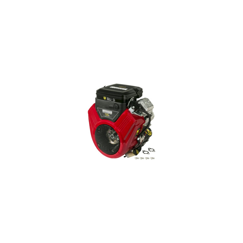 Moteur Briggs et Stratton - 3567770153B5