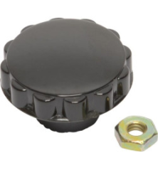 Bouton Briggs et Stratton - 391908