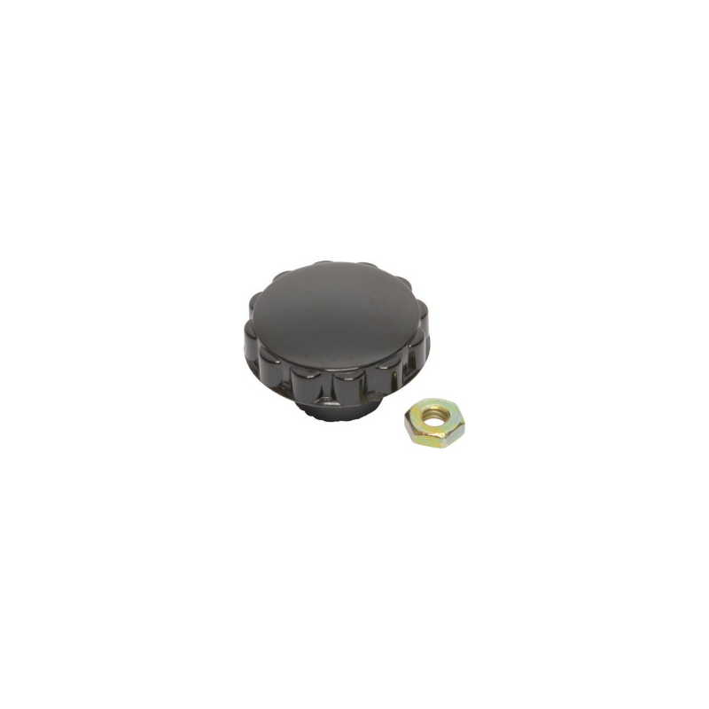 Bouton Briggs et Stratton - 391908