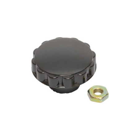 Briggs e Stratton Button-391908